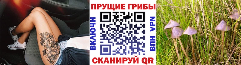 Купить где  Добрянка  Галлюциногенные грибы MAGIC MUSHROOMS 